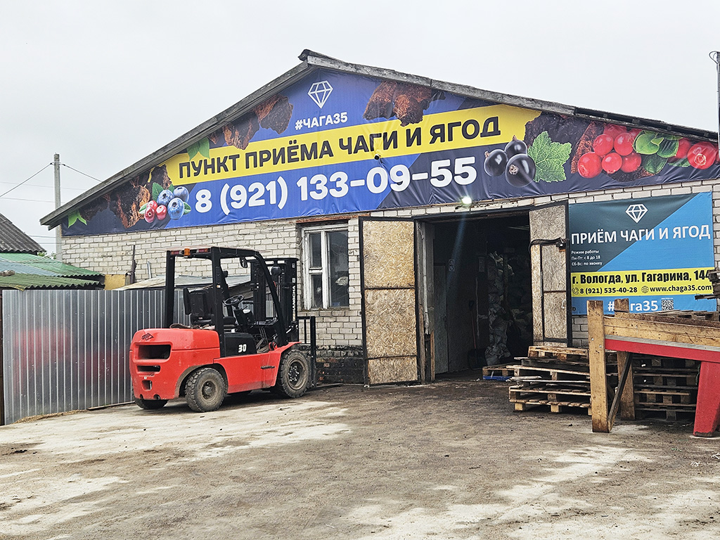 Мы продолжаем трудиться и принимать вашу чагу!