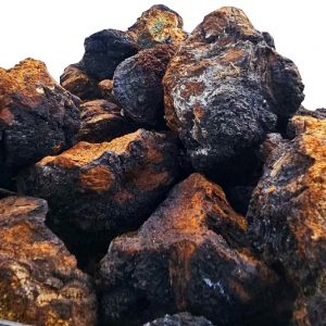 Чага кусковая