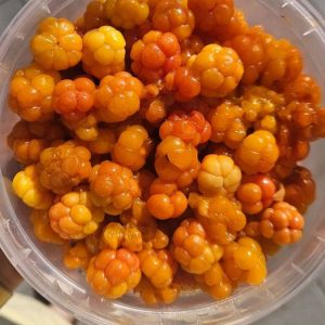 Морошка